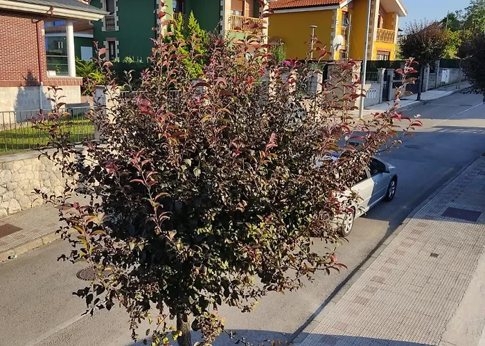 El Azul בית נופש אל אסטיירו